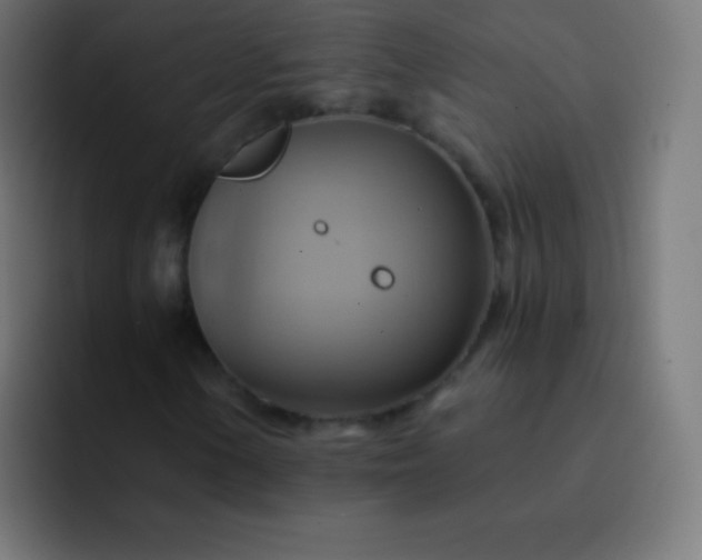 X0000093241154200710101417