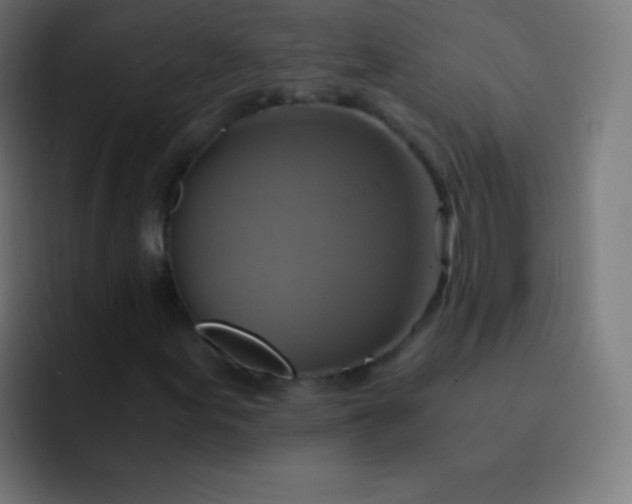 X0000093241155200710101417