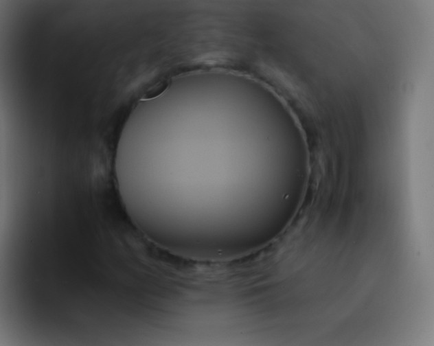 X0000093241158200710101416