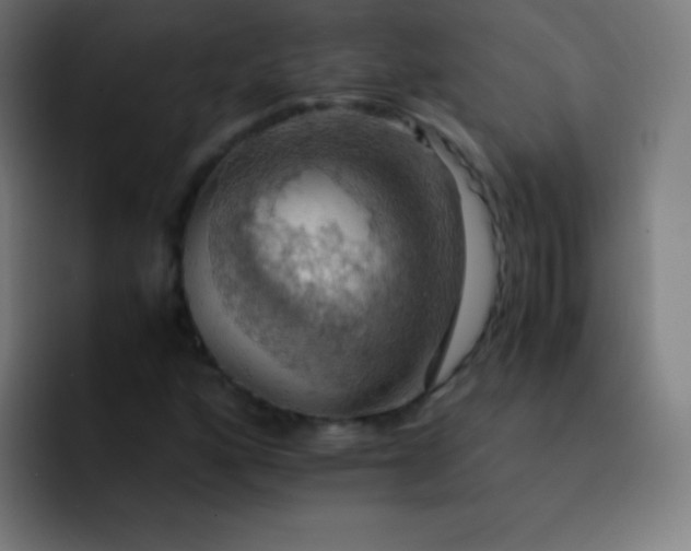 X0000093241160200710101416