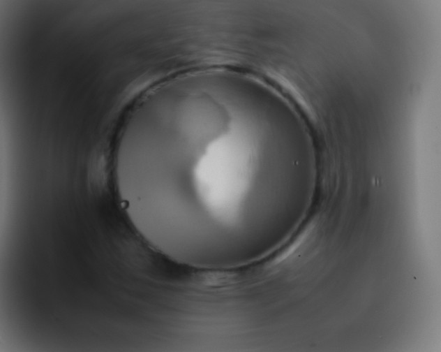 X0000093241163200710101416