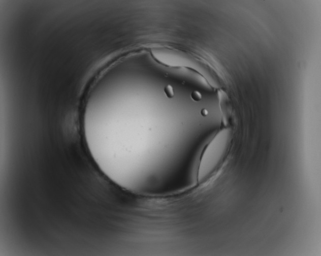 X0000093241164200710101416