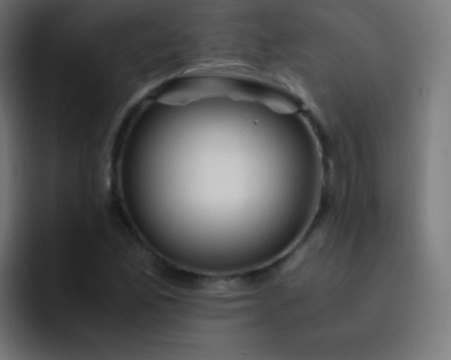 X0000093241165200710101416