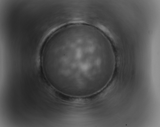 X0000093241167200710101416