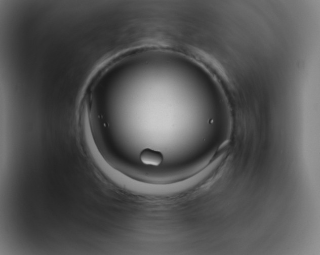 X0000093241168200710101416