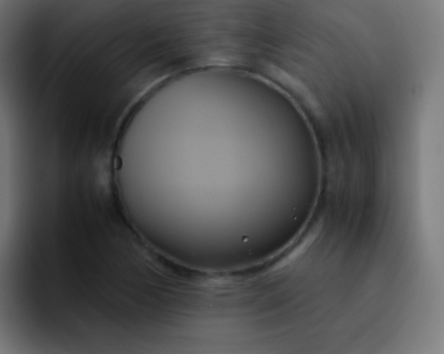 X0000093241170200710101416