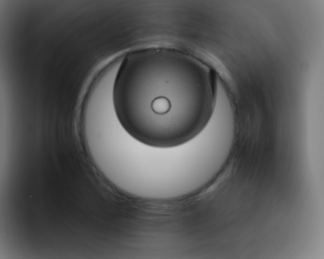 X0000093241172200710101416