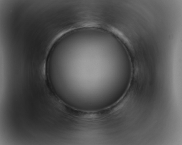 X0000093241174200710101416