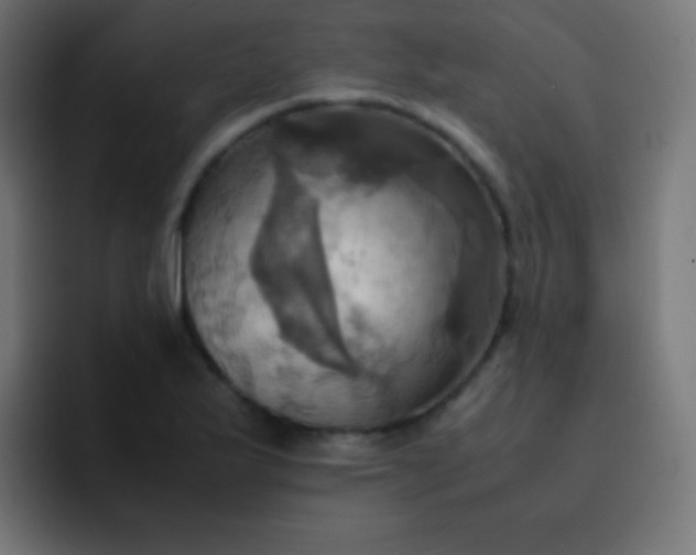 X0000093241175200710101416