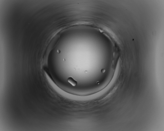 X0000093241177200710101416