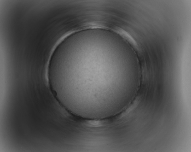 X0000093241182200710101416