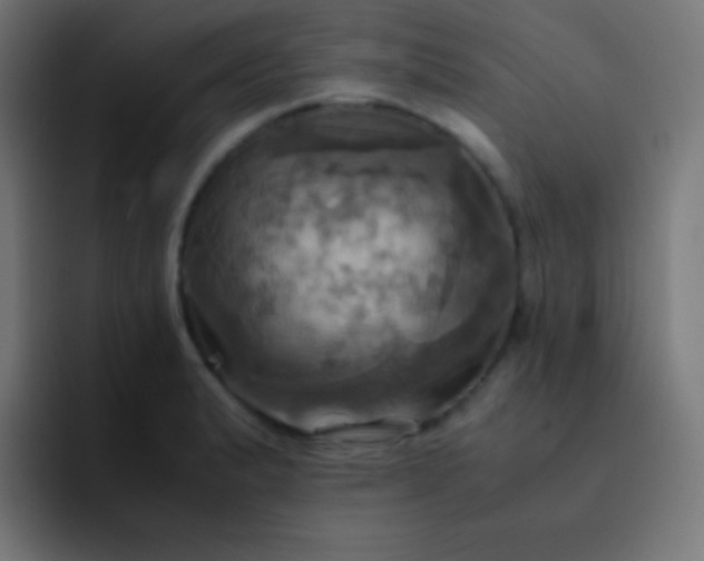 X0000093241183200710101416