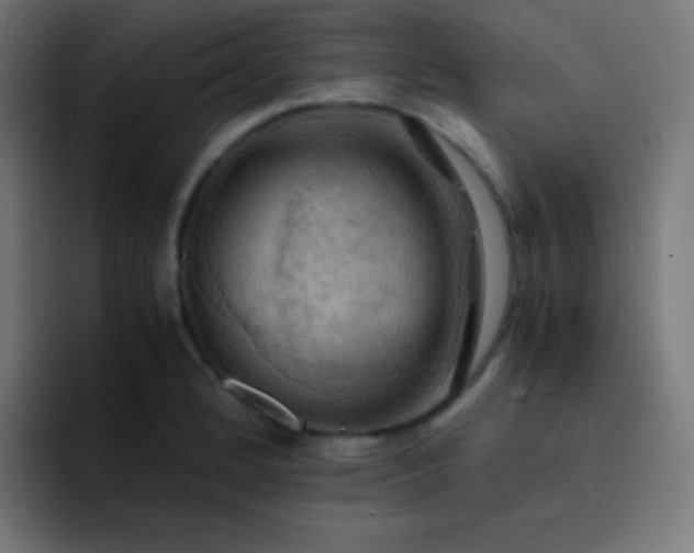 X0000093241184200710101416