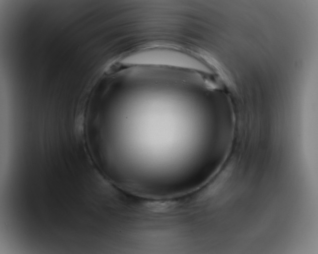 X0000093241185200710101416