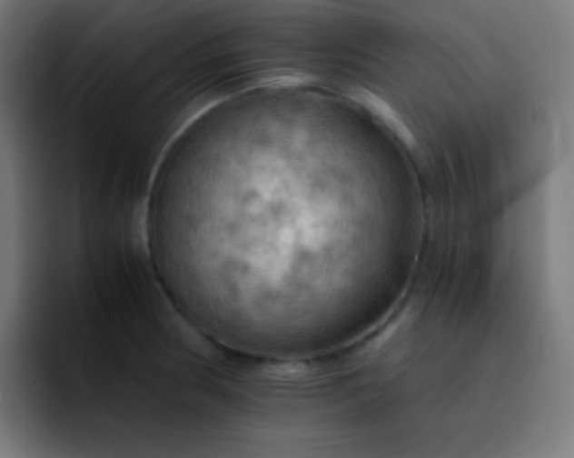 X0000093241186200710101416