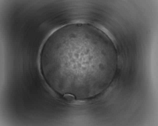 X0000093241187200710101416