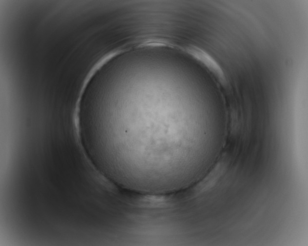 X0000093241190200710101416
