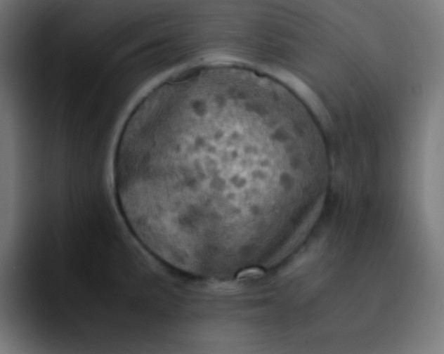 X0000093241191200710101416