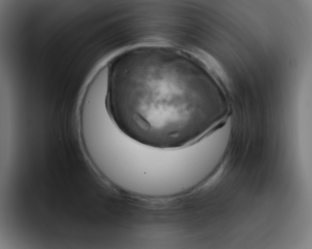 X0000093241192200710101416