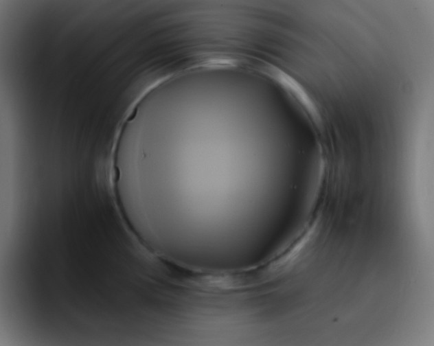 X0000093241194200710101416