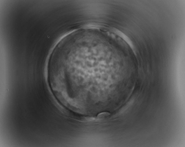 X0000093241195200710101416