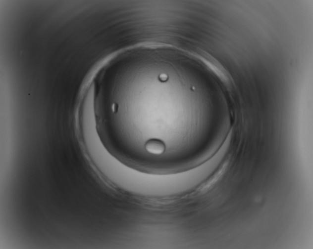 X0000093241196200710101416