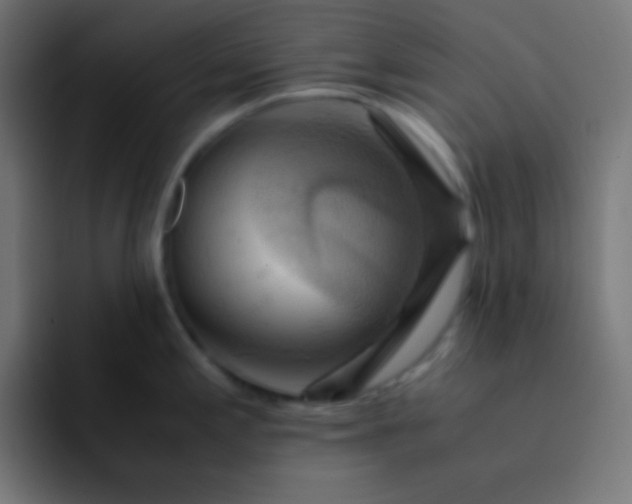 X0000093241197200710101416