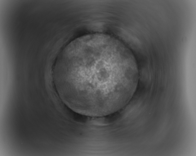 X0000093241201200710101415