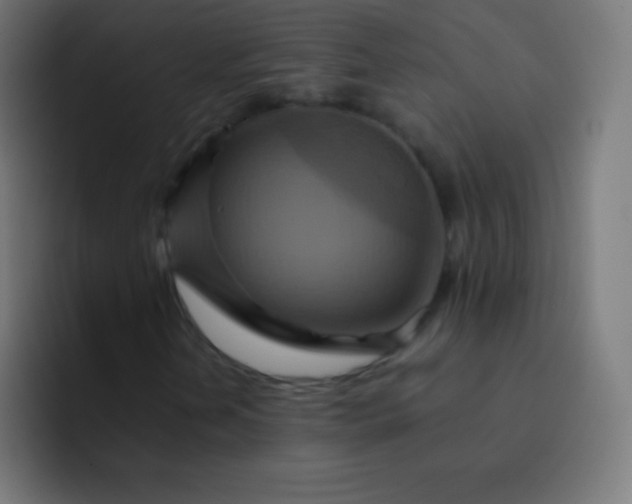 X0000093241202200710101415