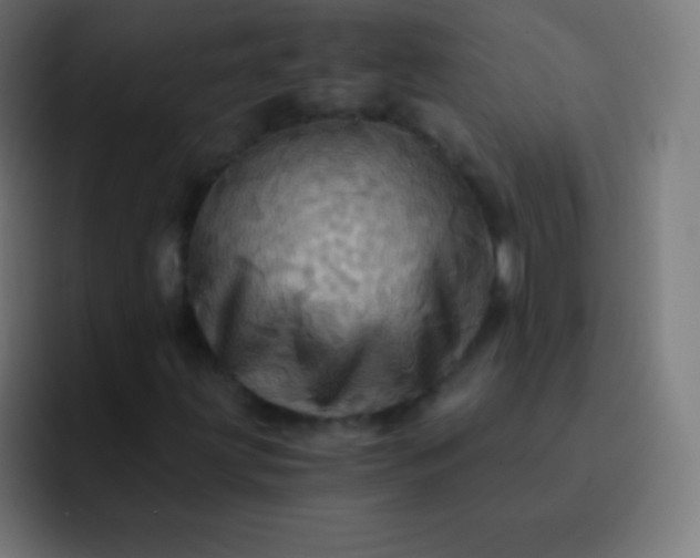 X0000093241203200710101415
