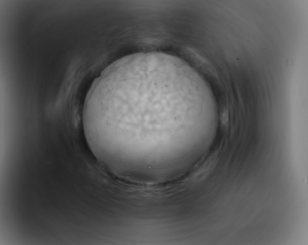 X0000093241204200710101415