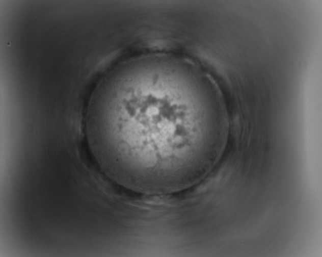 X0000093241205200710101415