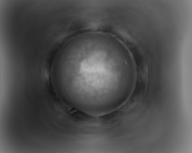 X0000093241206200710101416
