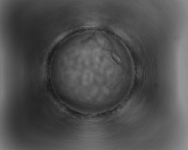 X0000093241208200710101416