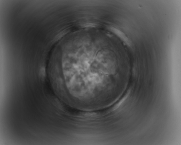 X0000093241209200710101416