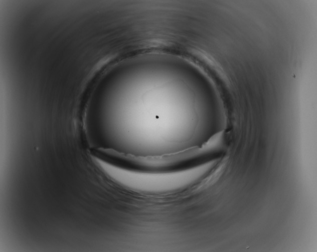X0000093241210200710101416