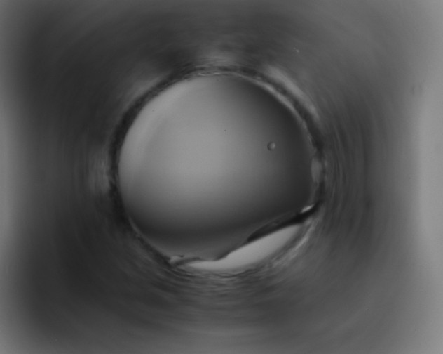 X0000093241213200710101416