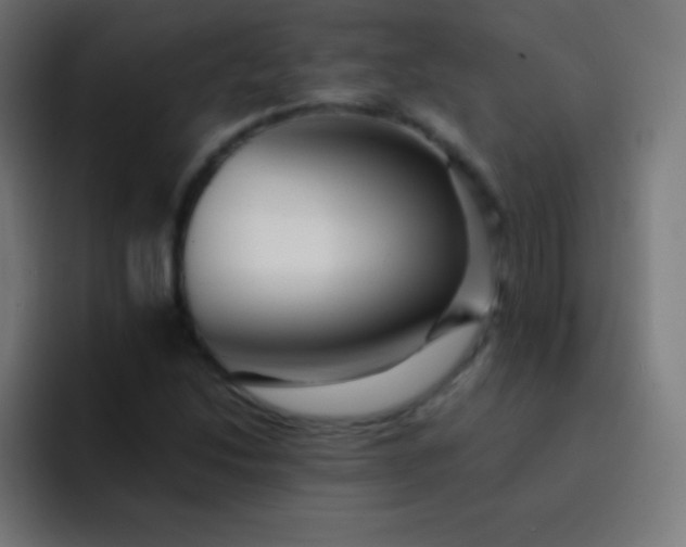 X0000093241214200710101416
