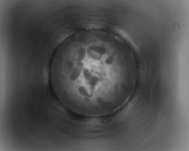 X0000093241217200710101416