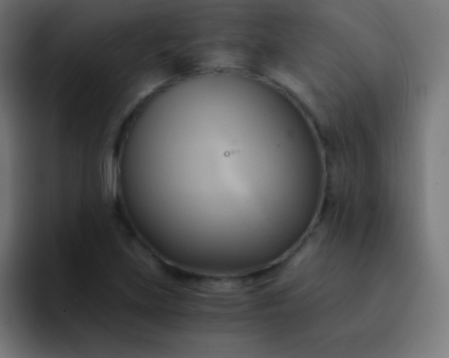 X0000093241219200710101416