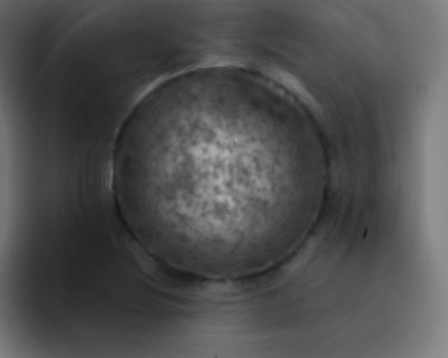 X0000093241220200710101416