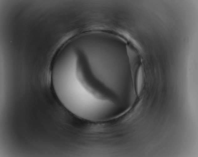 X0000093241221200710101416