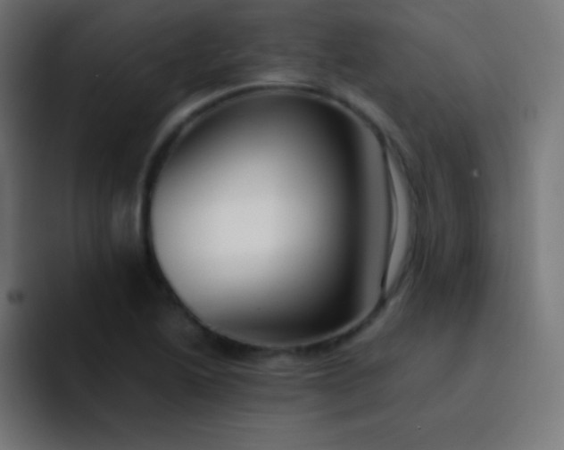X0000093241222200710101416