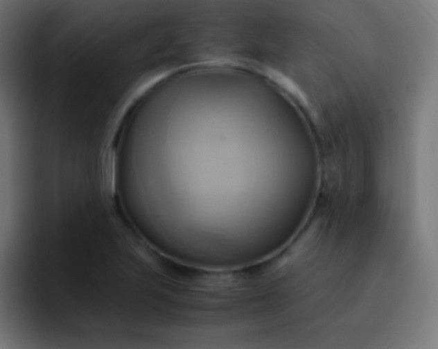 X0000093241223200710101416