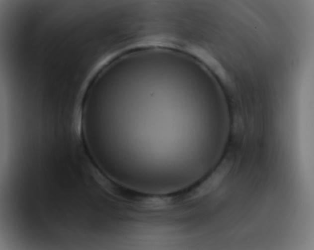X0000093241224200710101416