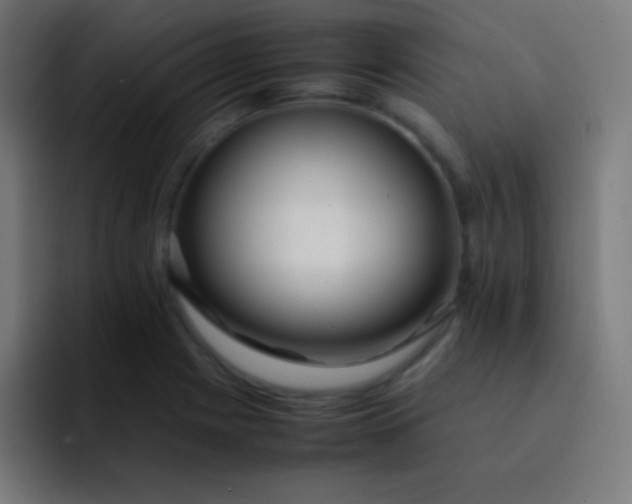 X0000093241225200710101416