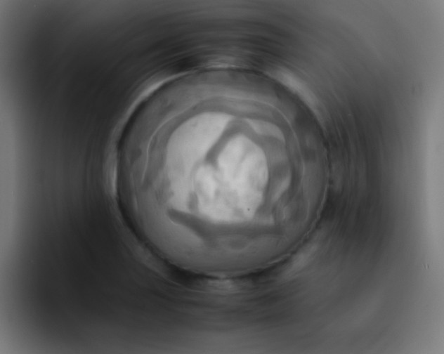 X0000093241227200710101416