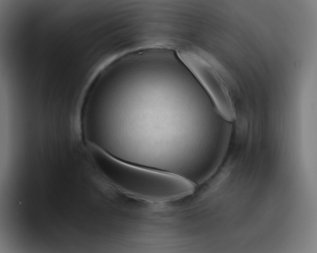 X0000093241230200710101416