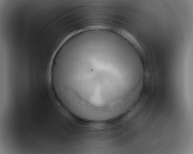 X0000093241236200710101416