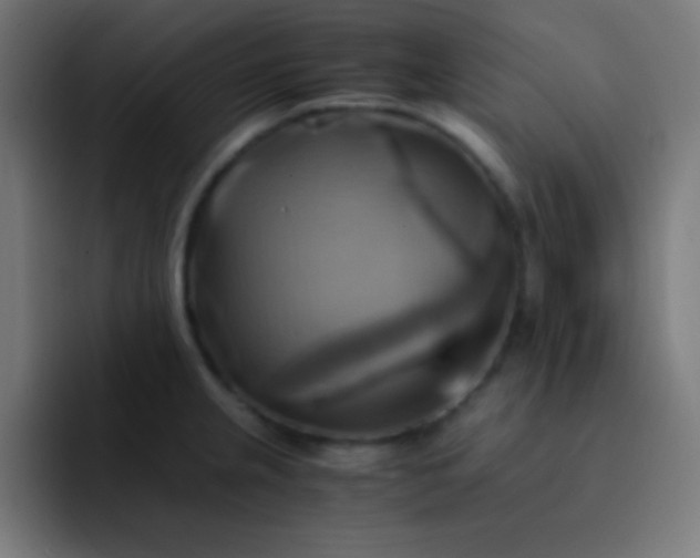 X0000093241237200710101416